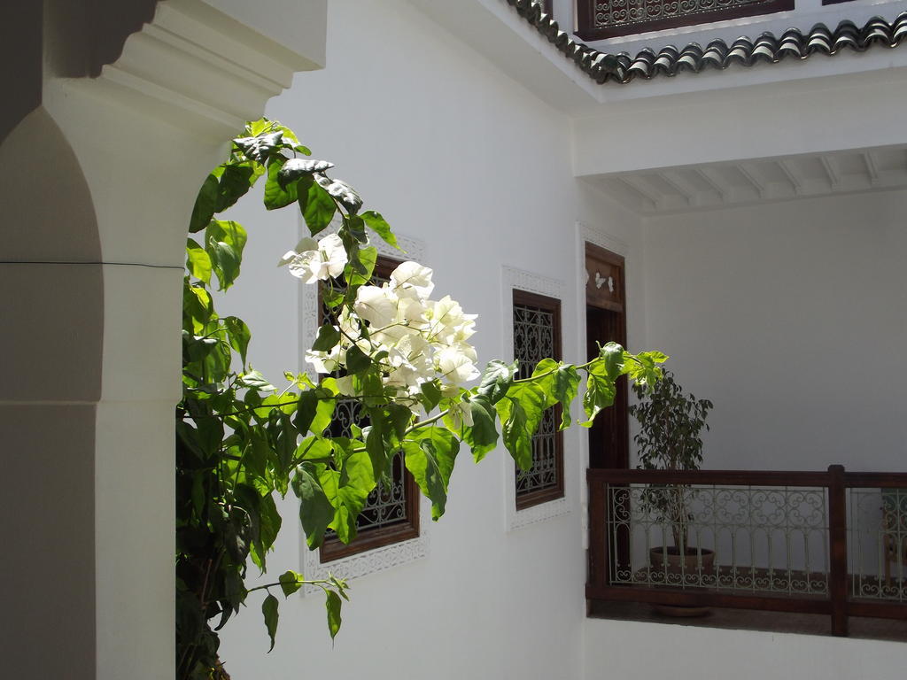 Riad Les Bougainvilliers Marakéš Exteriér fotografie